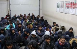 333 mülteci daha yakalandı