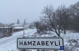 Kar, Hamzabeyli'den giriş yaptı